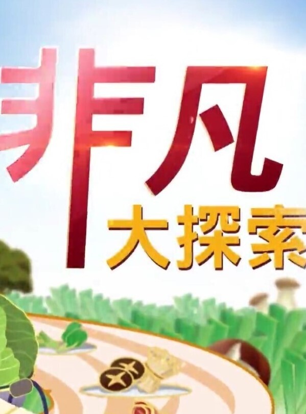 精品偷拍美女被操的满口淫语大叫喜欢你操我鸡巴又粗又长把我小骚逼都操开了好痒啊 - ovojav视频海报